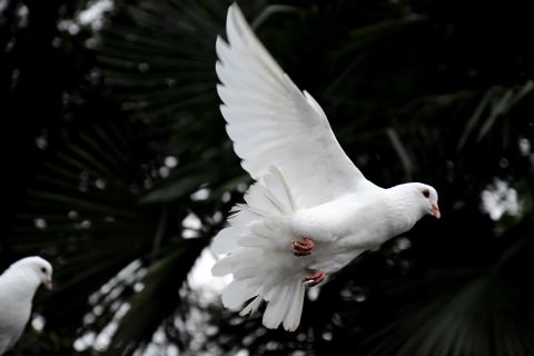 Lire l’Écriture avec le Saint-Esprit